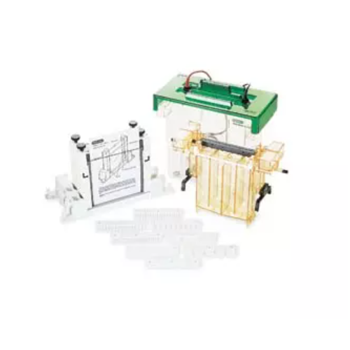 PROTEAN II XL 对齐卡 PROTEAN II XL Alignment Cards