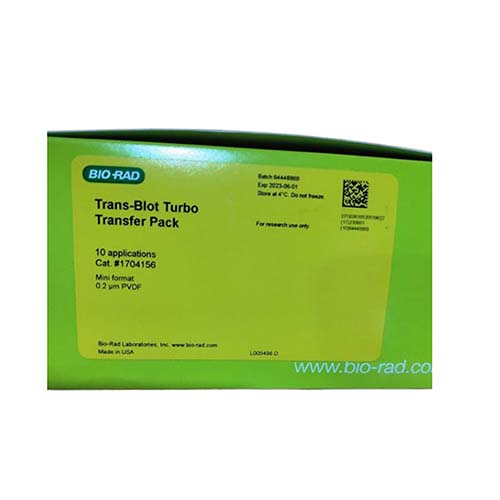 Trans-Blot Turbo Mini 0.2 μm PVDF 转移套装 Trans-Blot Turbo Mini 0.2 µm PVDF Transfer Packs