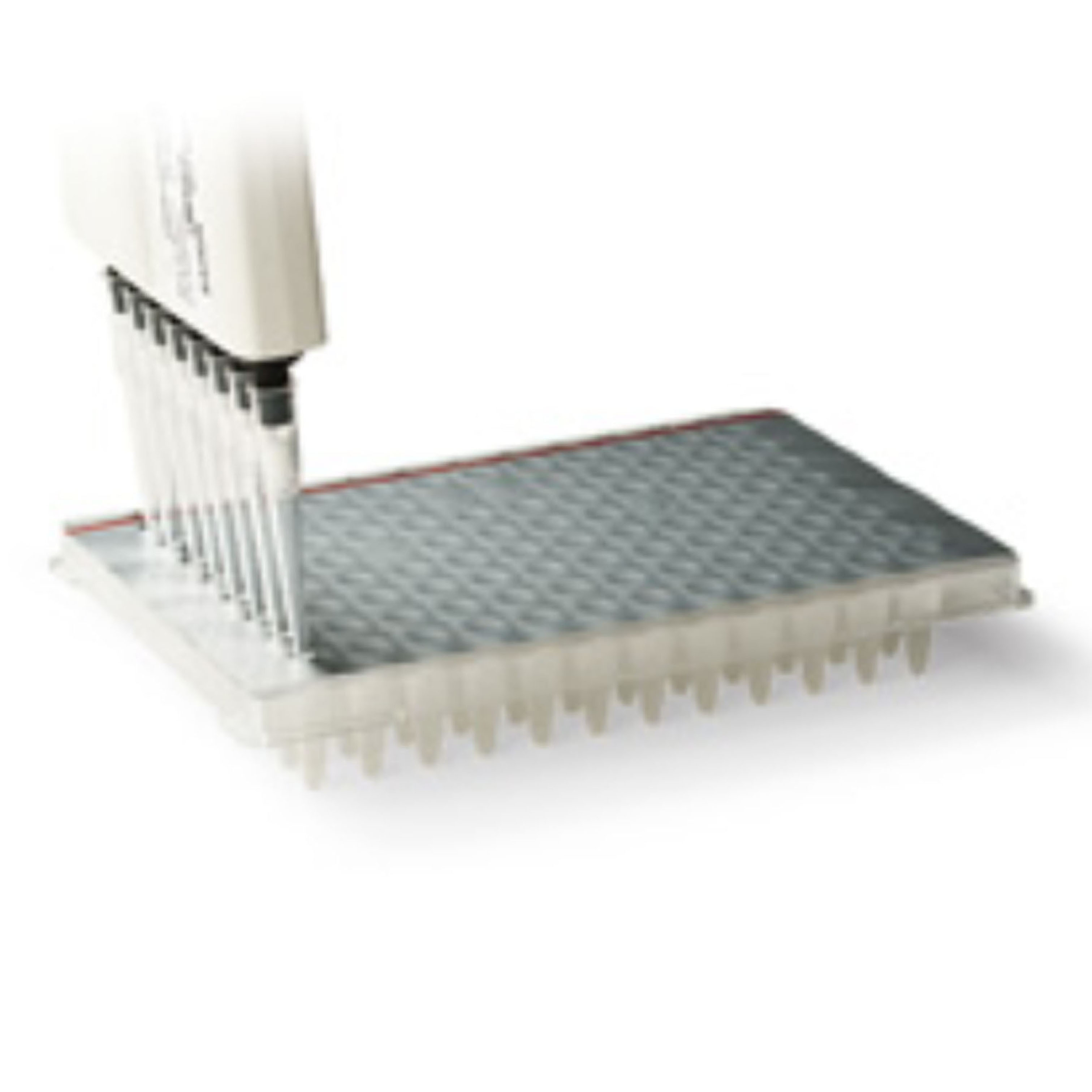 PCR板热封箔，可刺穿 PCR Plate Heat Seal, foil, pierceable