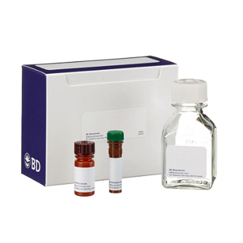 AnnexinV-FITC细胞凋亡检测试剂盒FITC Annexin V Apoptosis Detection Kit