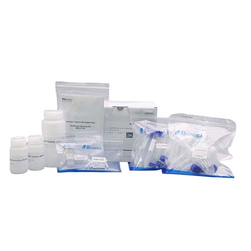 ViraTrap™ 腺相关病毒（AAV）小量纯化试剂盒（血清型2型）