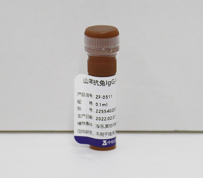 Alexa Fluor® 488标记山羊抗兔IgG（H+L）（亲和纯化）