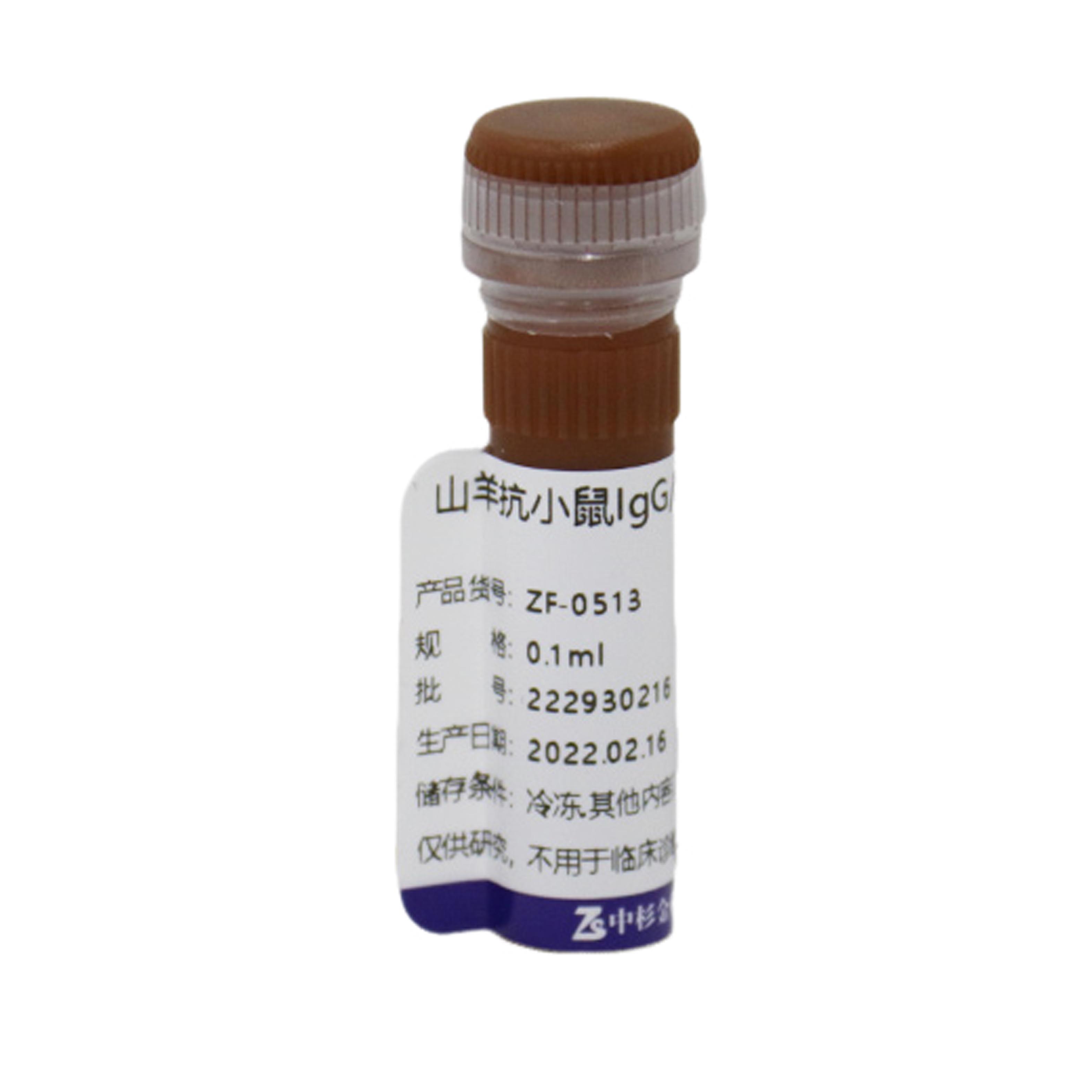 Alexa Fluor® 594标记山羊抗小鼠IgG（H+L）（亲和纯化）