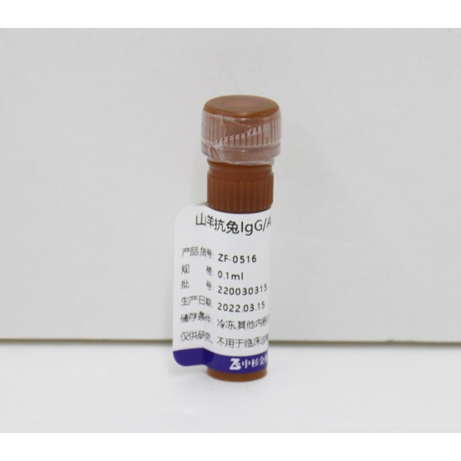 Alexa Fluor® 594标记山羊抗兔IgG（H+L）（亲和纯化）