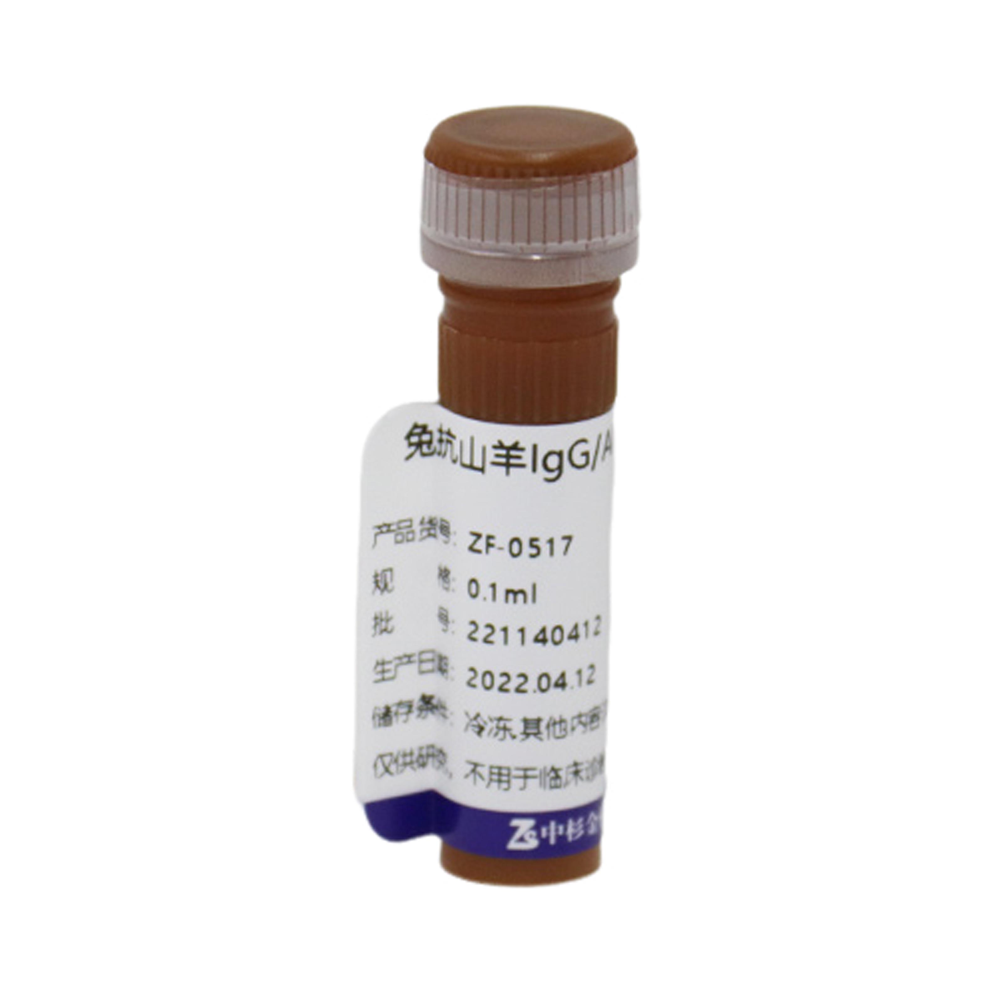 Alexa Fluor® 594标记兔抗山羊IgG（H+L）（亲和纯化）