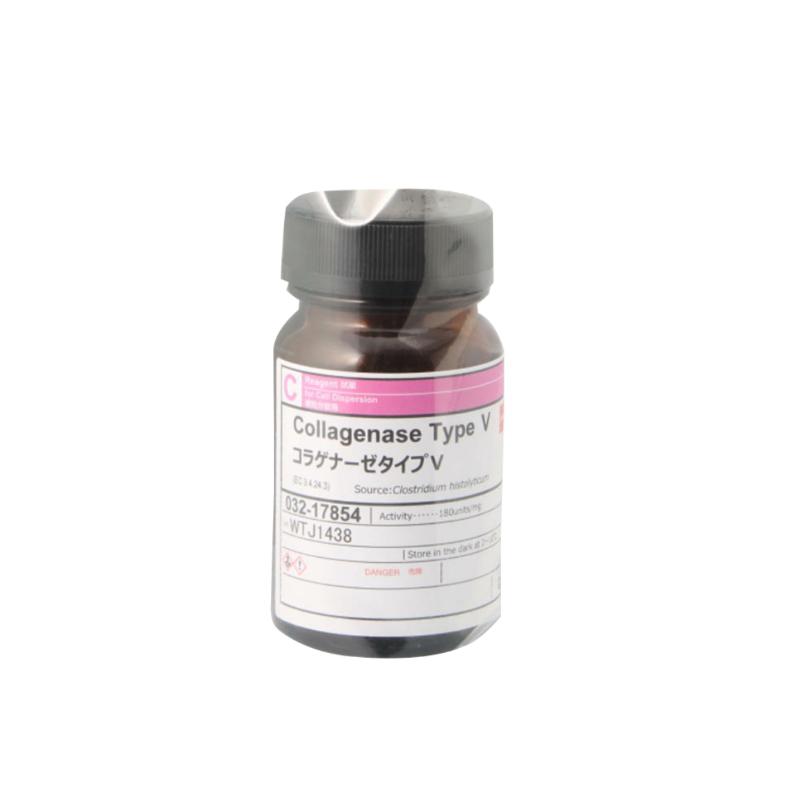 胶原酶V型