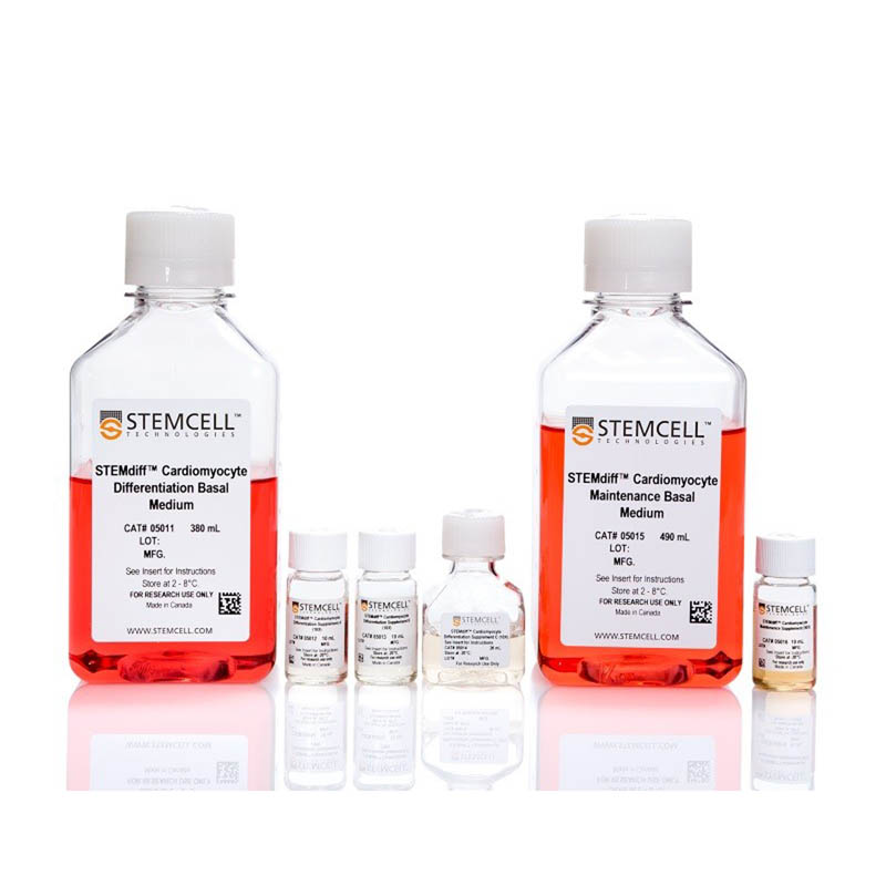 STEMdiff™心肌细胞分化试剂盒