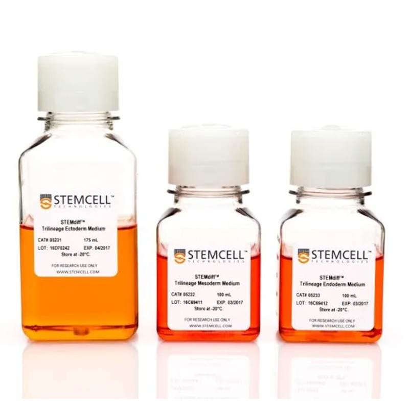 STEMdiff™三胚层分化试剂盒