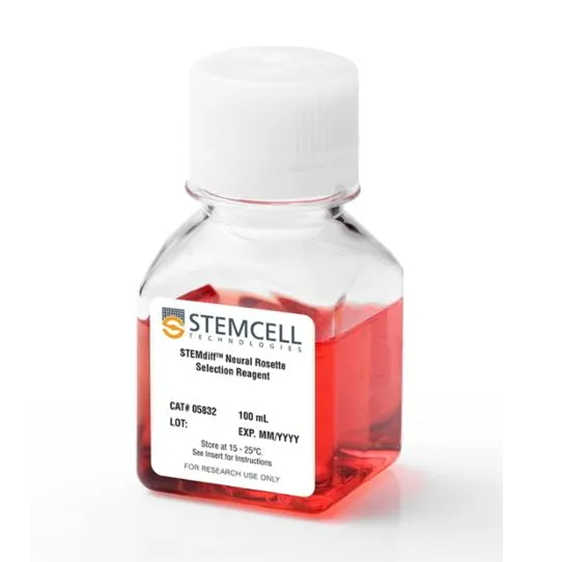 STEMdiff™神经Rosette挑选试剂