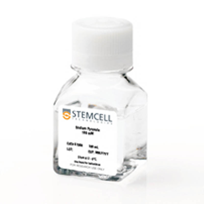 Sodium Pyruvate/丙酮酸钠