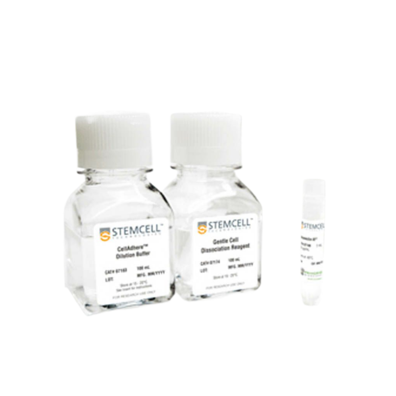 Vitronectin XF™/细胞贴壁基质试剂盒