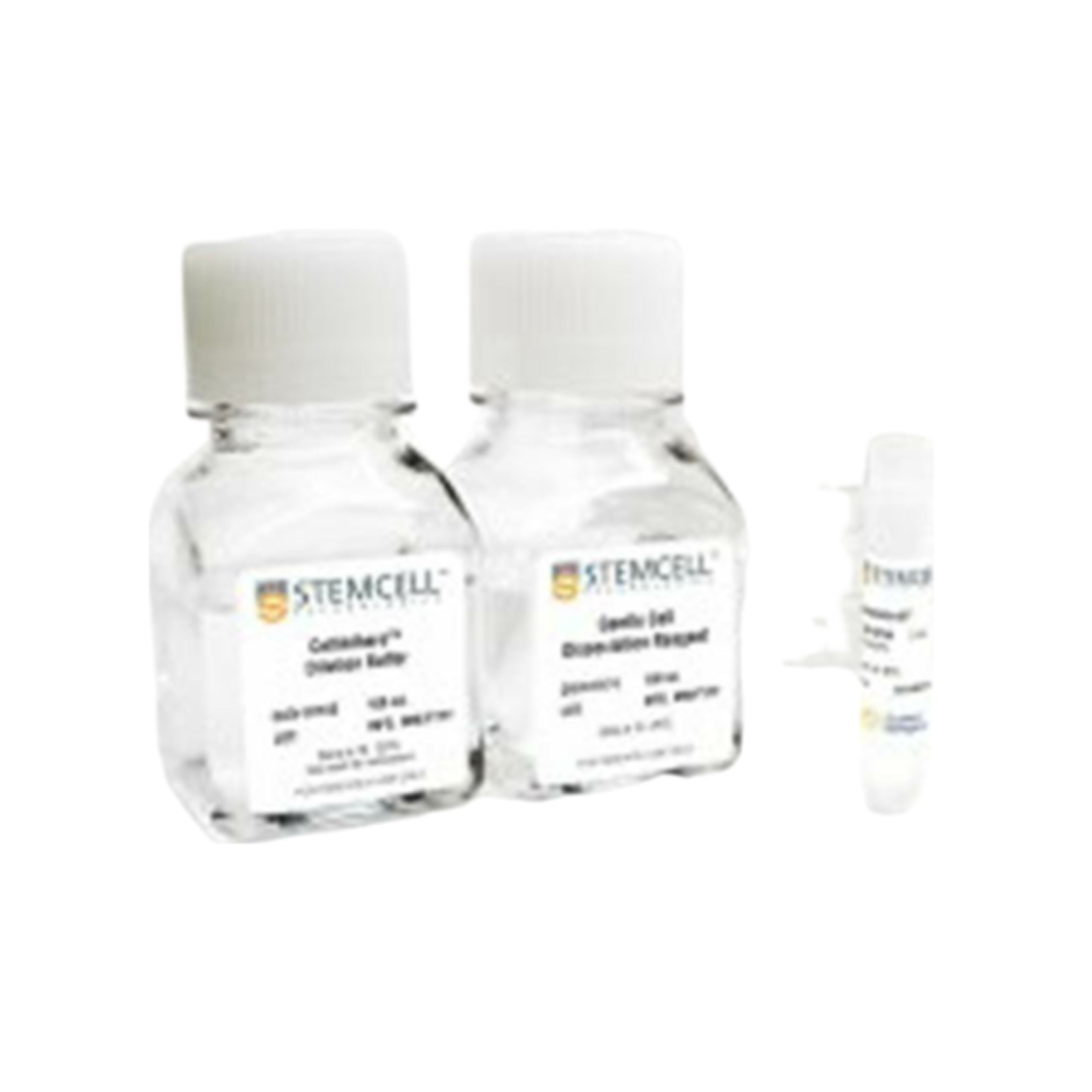 含ReLeSR™的Vitronectin XF™试剂盒