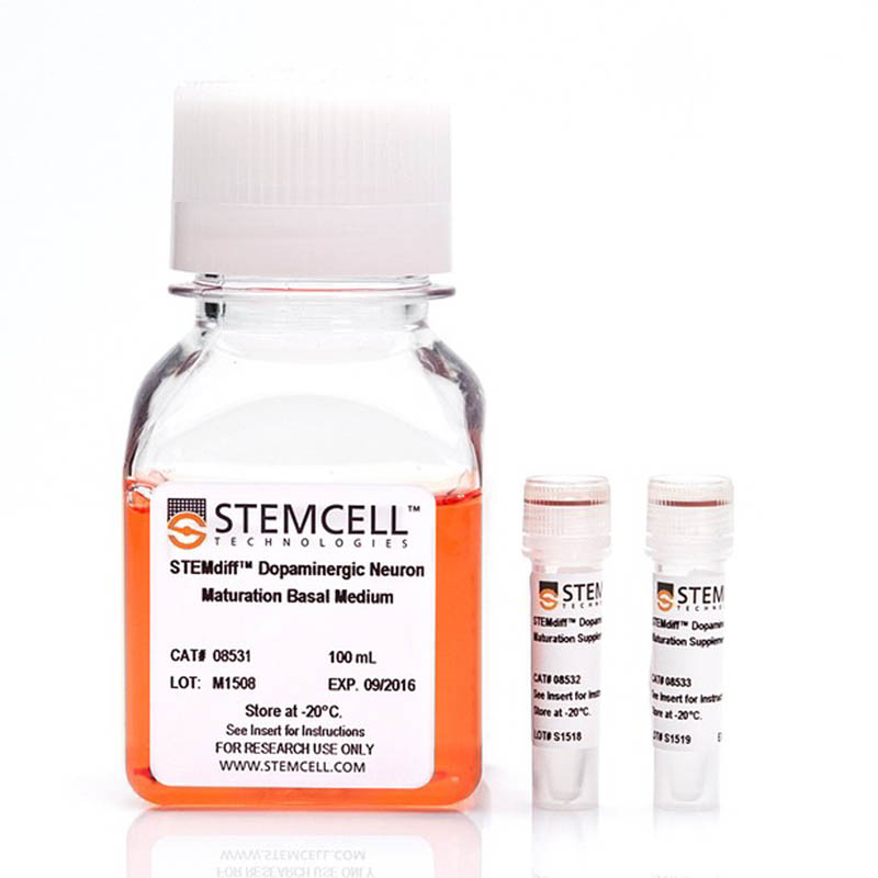 STEMdiff™多巴胺神经元成熟试剂盒