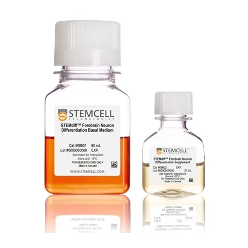 STEMdiff™前脑神经元诱导分化试剂盒