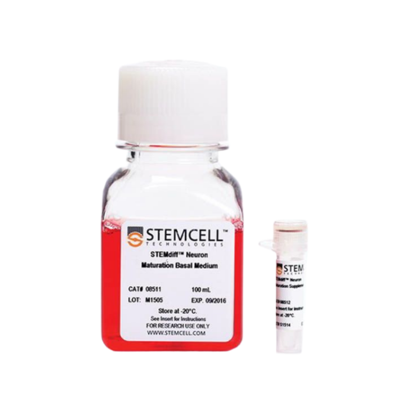 STEMdiff™前脑神经元成熟试剂盒