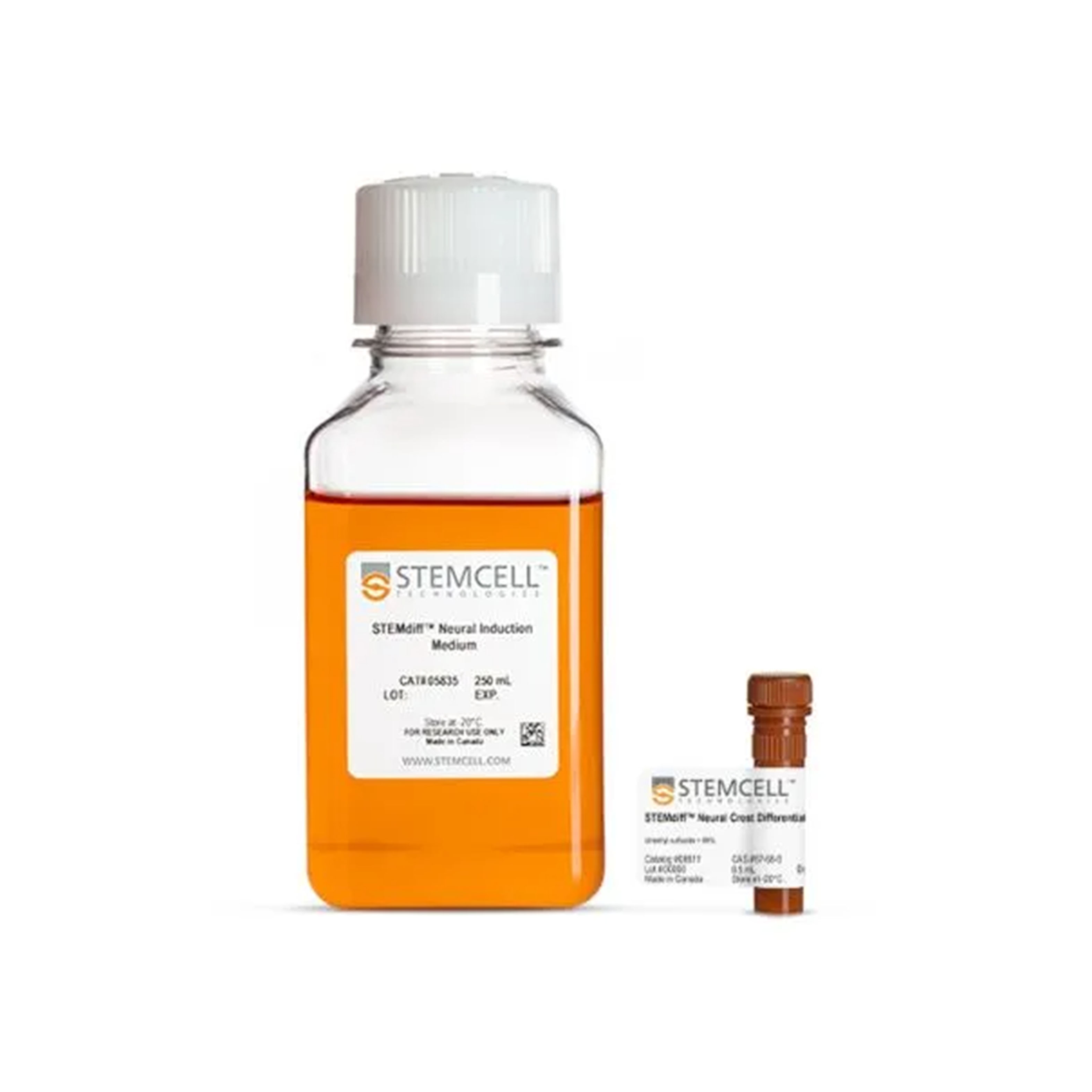 STEMdiff™ 神经嵴分化试剂盒