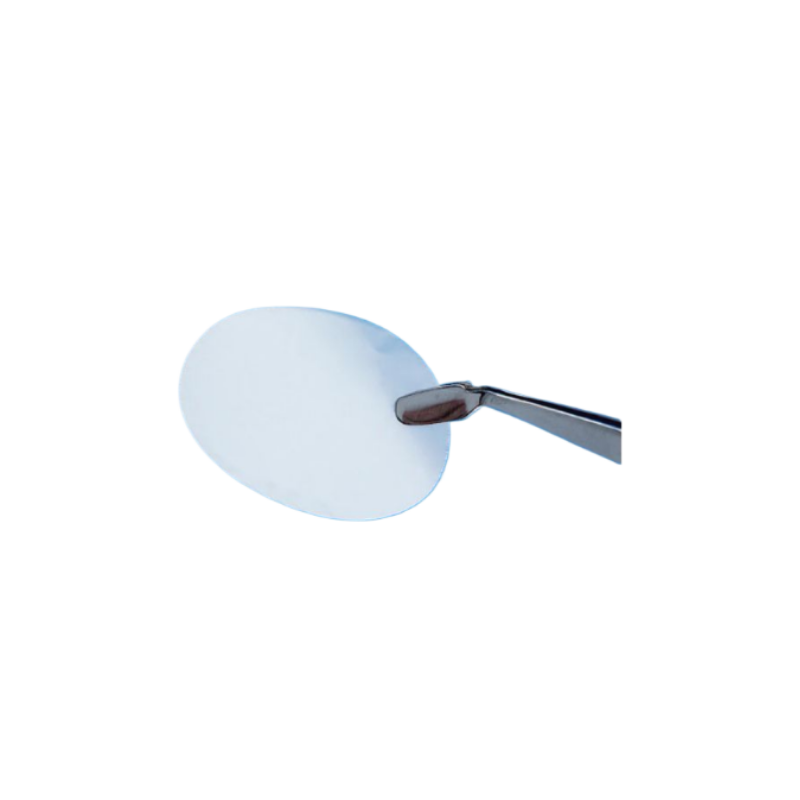 细胞培养聚碳酸脂膜圆片型2um25mm