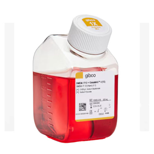 DMEM/F-12 培养基（含 GlutaMAX™，不含 HEPES）