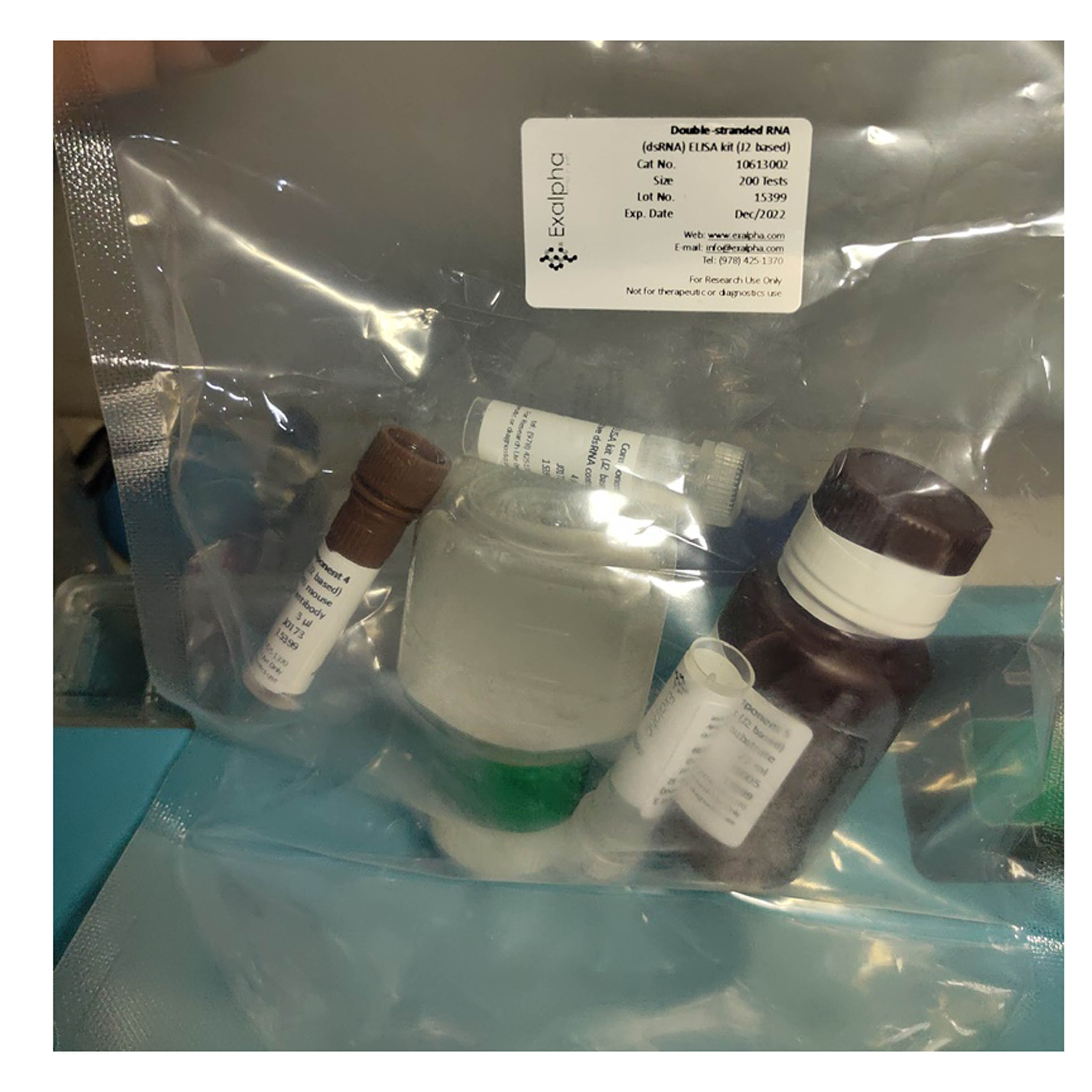 双链 RNA 抗体检测试剂盒 dsRNA Detection Kit (J2 based)