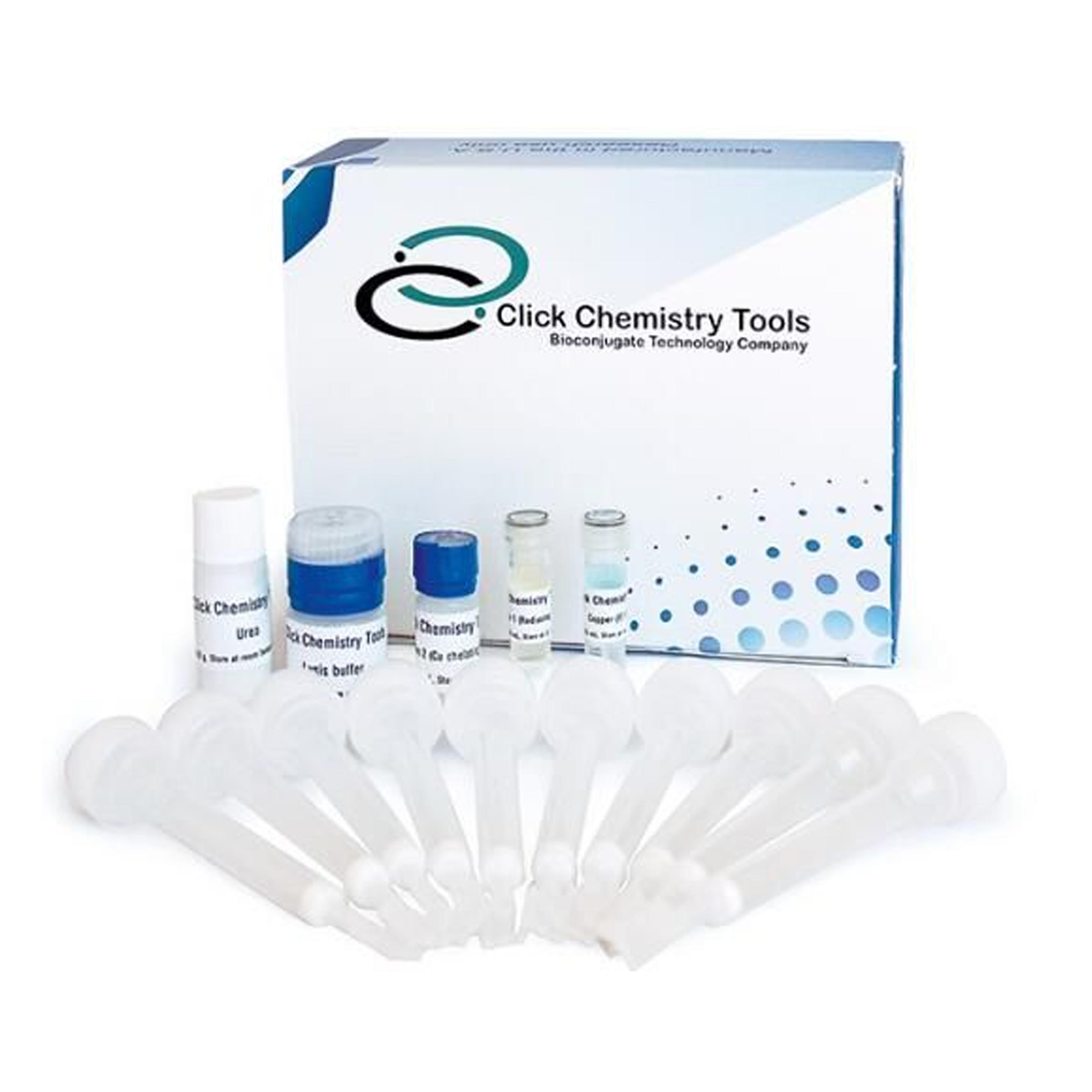 点击化学标记蛋白捕获试剂盒 Click-&-Go Click Chemistry Capture Kit