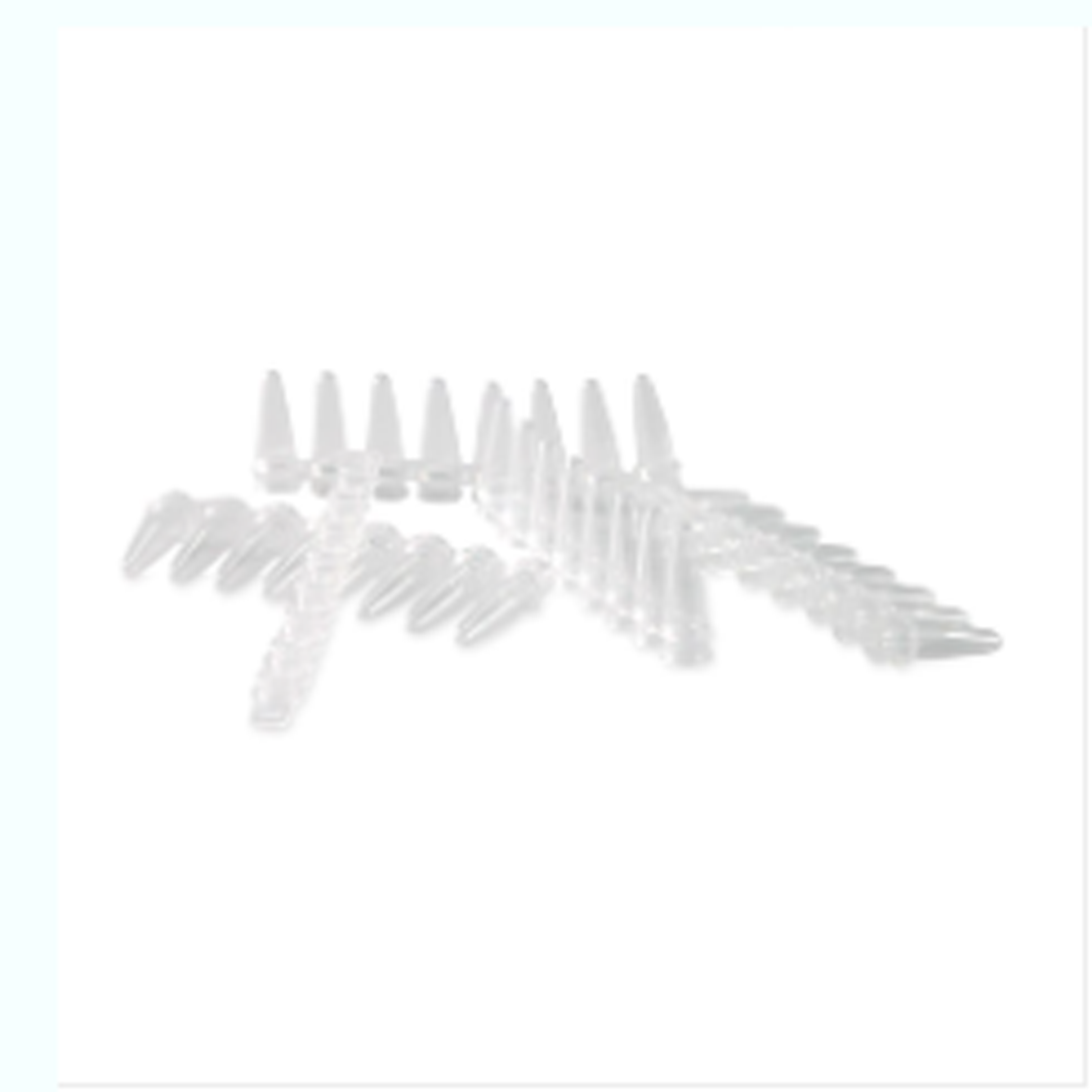 0.2ml 荧光定量 PCR 平盖八排管(含盖)