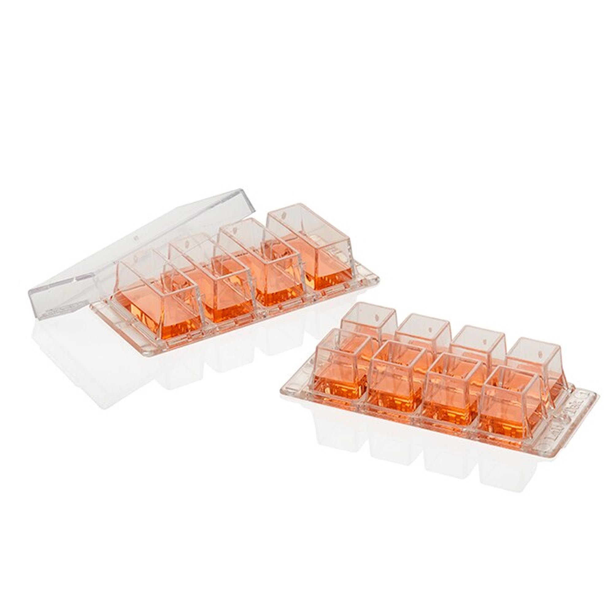 Lab-Tek腔室盖玻片，2孔，已灭菌