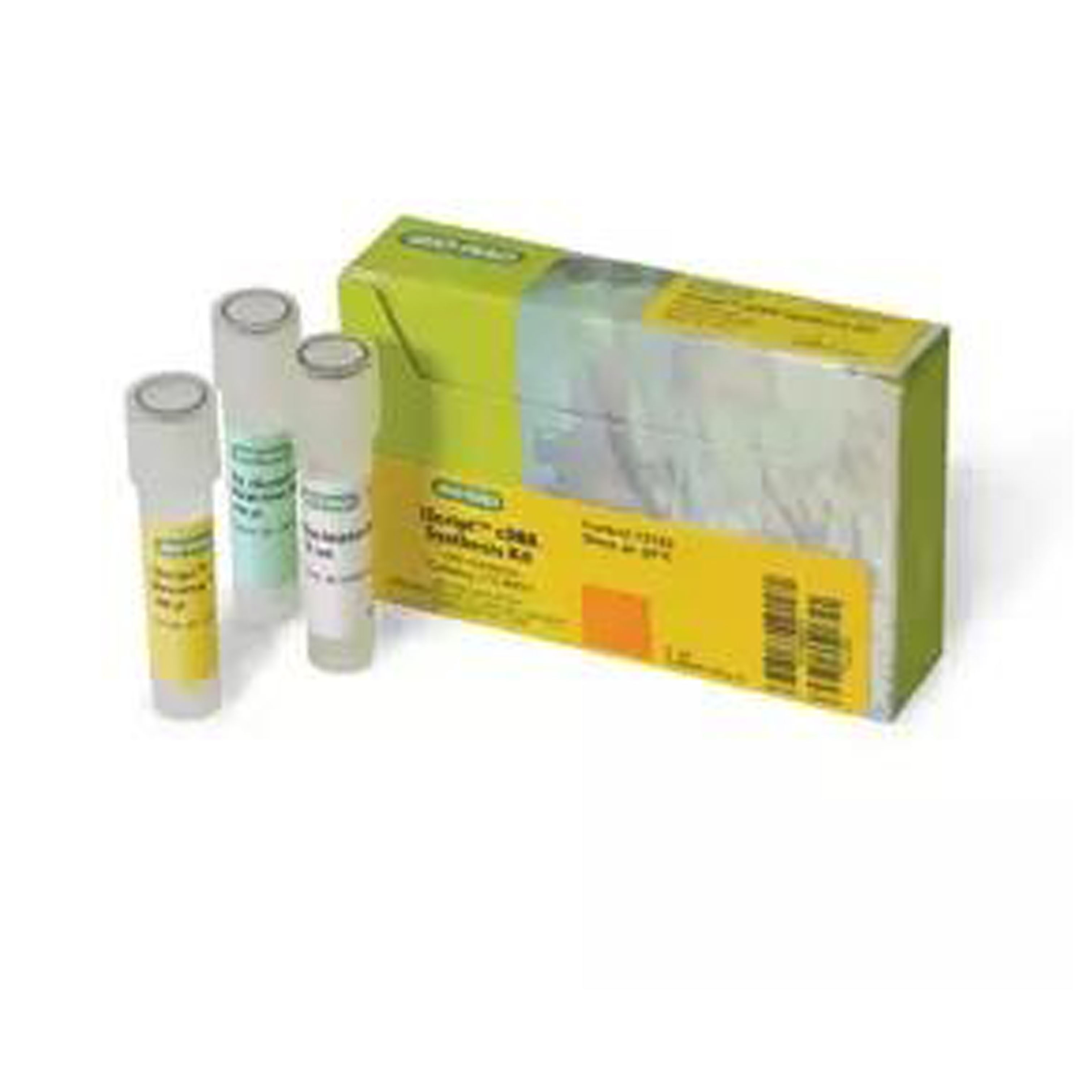 iScript™ cDNA 合成试剂盒，100 x 20 μl 反应 iScript™ cDNA Synthesis Kit, 100 x 20 µl rxns