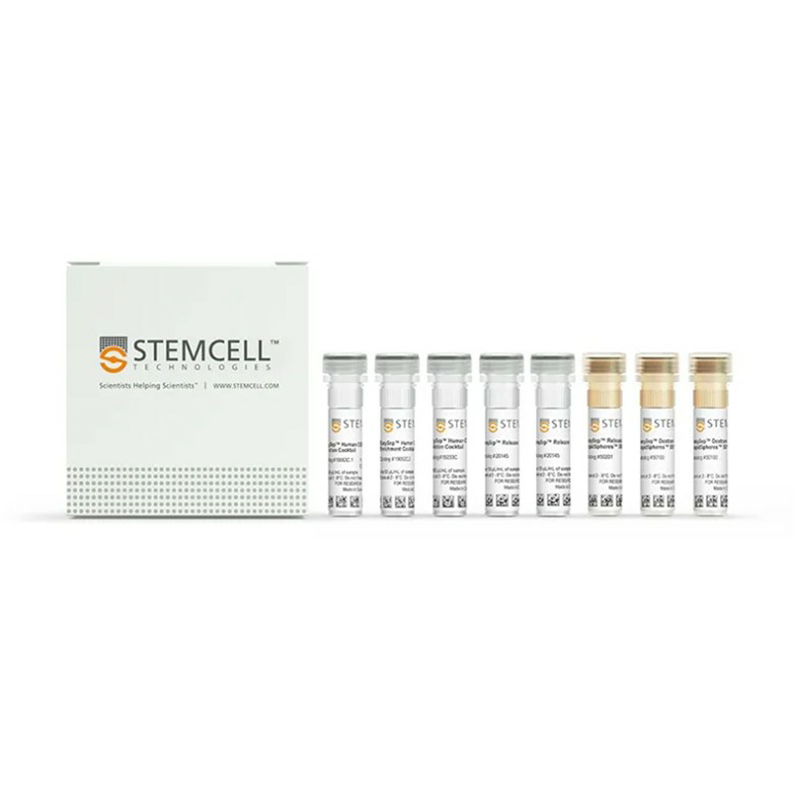 人 CD4+CD127lowCD25+ 调节性T细胞（Treg）分选试剂盒