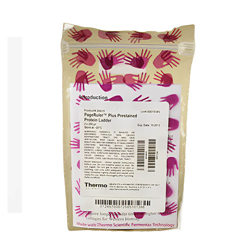 ThermoScientific™PageRuler™Plus预染蛋白分子量标准，10至250kDa PageRuler™ Plus prestained protein molecular weight standard, 10 to 250 kDa