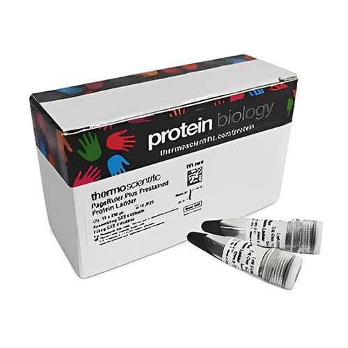 PageRuler™ Plus 预染蛋白分子量标准，10 至 250 kDa PageRule Plus Prestained Protein Fermenta