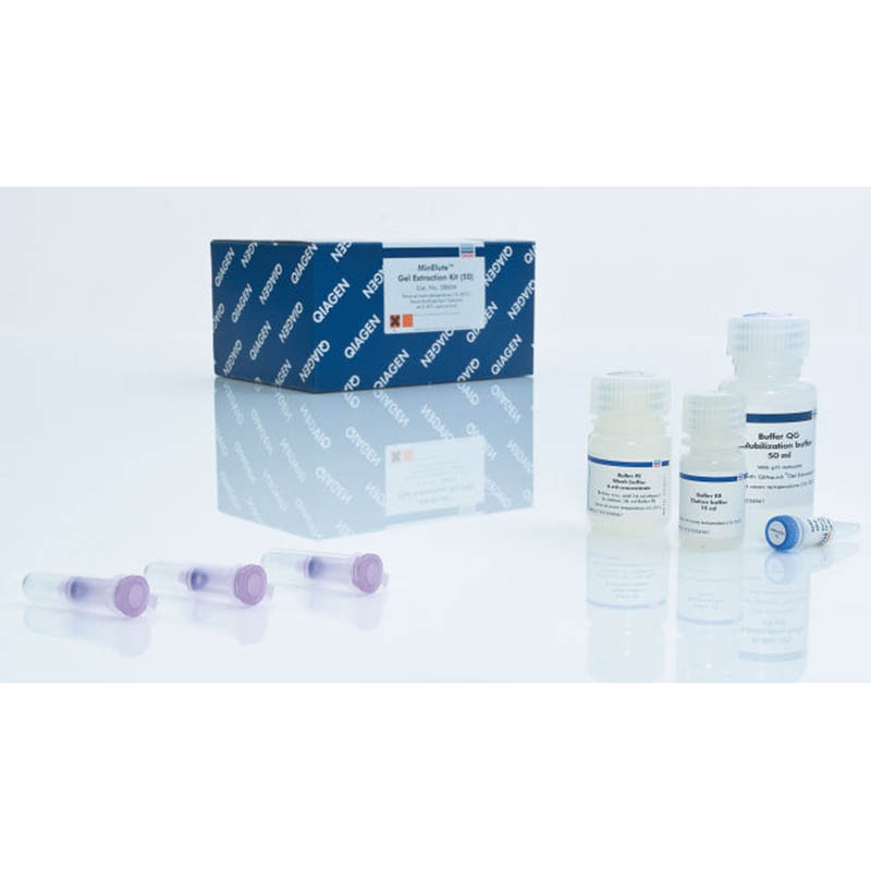 MinElute Gel Extraction Kit 快速洗脱胶回收试剂盒