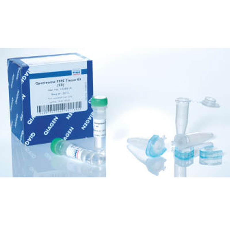 Attractene Transfection Reagent (1 ml)