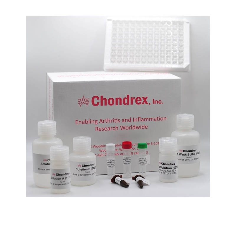 小鼠抗dsdna IgG抗体测定试剂盒 Mouse Anti-dsDNA IgG Antibody Assay Kit