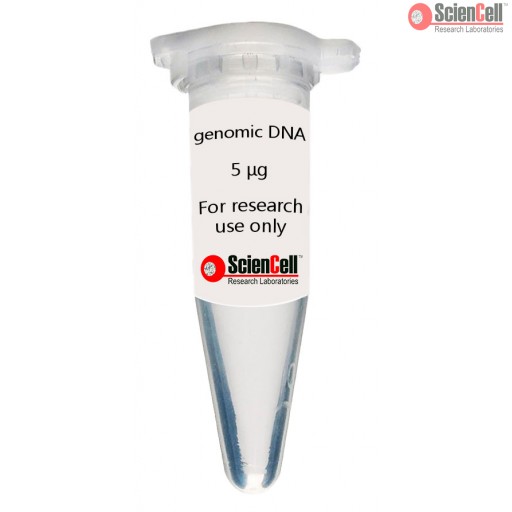 聚苯乙烯CellSTACK®5层细胞培养室，带透气盖，2/箱 Corning CellSTACK, 5-layer Polystyrene vessel with Vent Caps, TC treated Growth Surface, Sterile, 1 per bag, 2 per case