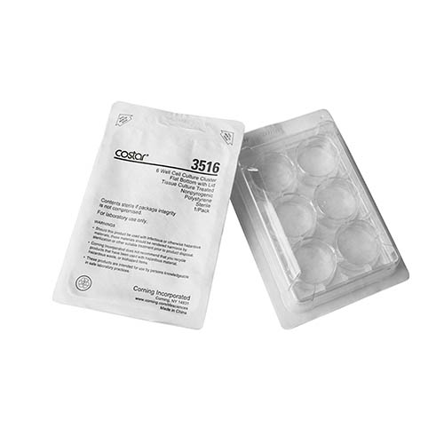 Costar® 6孔透明经TC处理多孔板，独立包装，无菌 Costar® 6-well Clear TC-treated Multiple Well Plates, Individually Wrapped, Sterile
