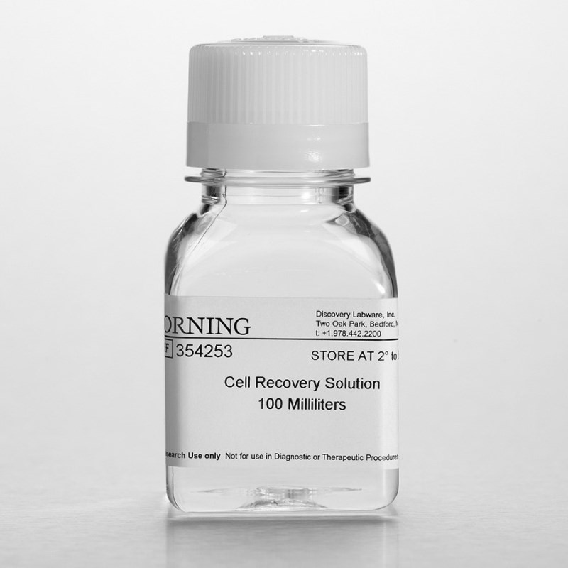 Corning® 细胞回收液 Corning® Cell Recovery Solution