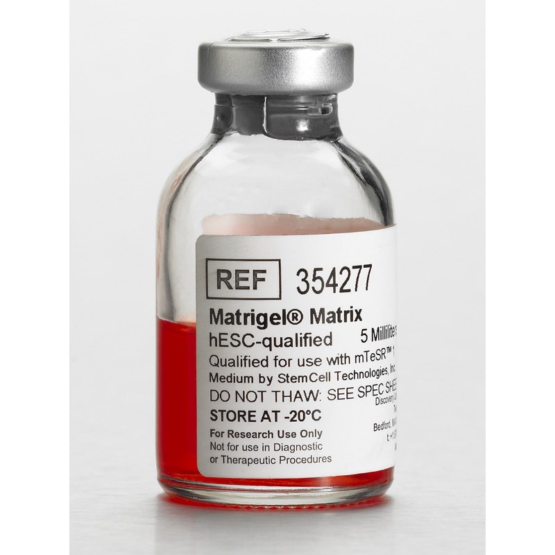 Corning® Matrigel® 基质，适用于hESC，不含LDEV Corning® Matrigel® substrate, for hESC, LDEV-free, 5 mL