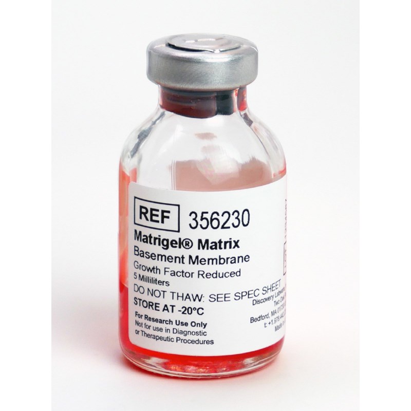 Corning® Matrigel® 生长因子减量(GFR) 基底膜基质，不含LDEV Corning® Matrigel® Growth Factor Reduced (GFR) Basement Membrane Matrix, LDEV-free