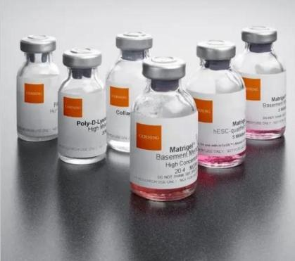 Corning® Matrigel® 基底膜基质，不含LDEV Corning® Matrigel® Growth Factor Reduced (GFR) Basement Membrane Matrix, LDEV-free