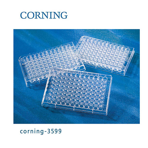 96孔板 平底 TC表面 PS（聚苯乙烯）材质 带盖 灭菌 Corning® 96-well Clear Flat Bottom Polystyrene TC-treated Microplates, Individually Wrapped, with Lid, Sterile