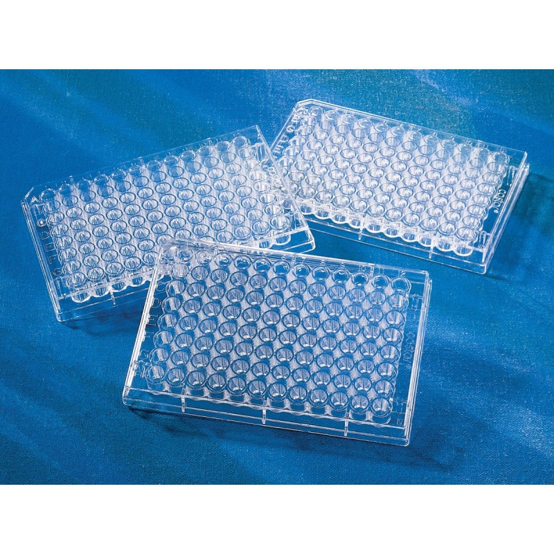 96孔板，V形底，TC表面，灭菌，独立包装 Costar 96 Well Clear V-Bottom Tissue Culture-Treated Microplate with Lid, Sterile, Individually Wrapped, 50/case
