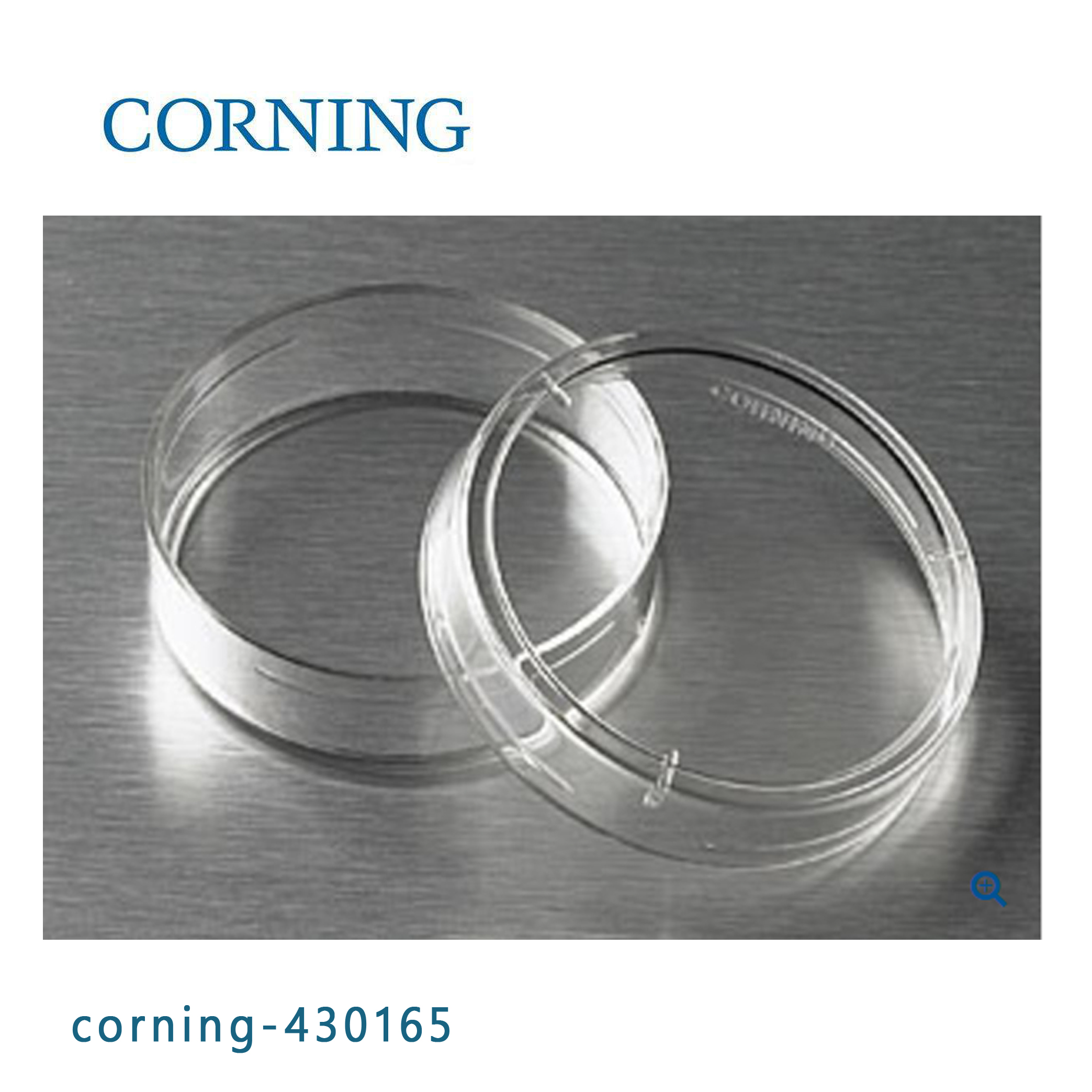Corning® 35 mm经TC处理培养皿 Corning® 35 mm TC-treated Culture Dish