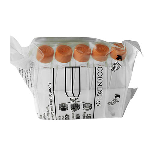 75cm²正方透气盖斜口细胞培养瓶 Corning® 75cm² Rectangular Canted Neck Cell Culture Flask with Vent Cap