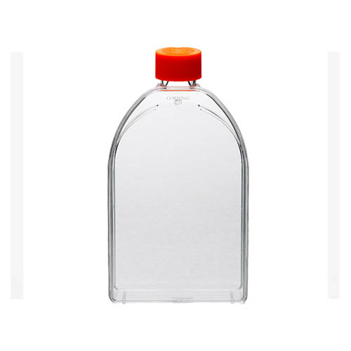 Corning® 150cm² U形斜颈细胞培养瓶，带透气盖 Corning® 150cm² U-Shaped Canted Neck Cell Culture Flask with Vent Cap