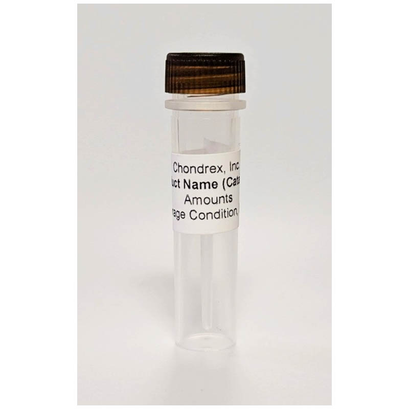 人II型胶原CB11肽，0.5 mg，冻干 Human CB11 Peptide of Type II Collagen, 0.5 mg, lyophilized