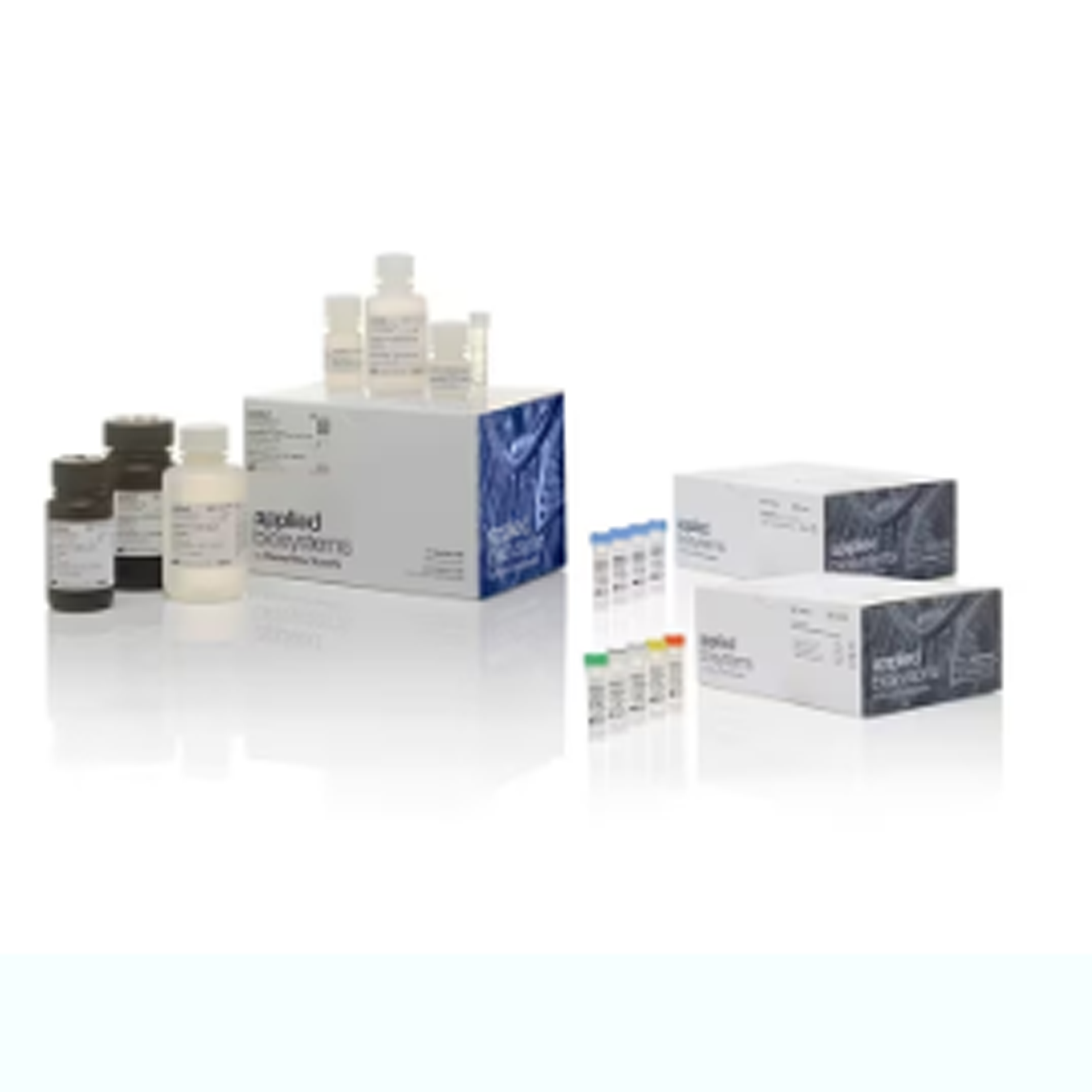 VetMAX™ MastiType Myco8 套装试剂盒