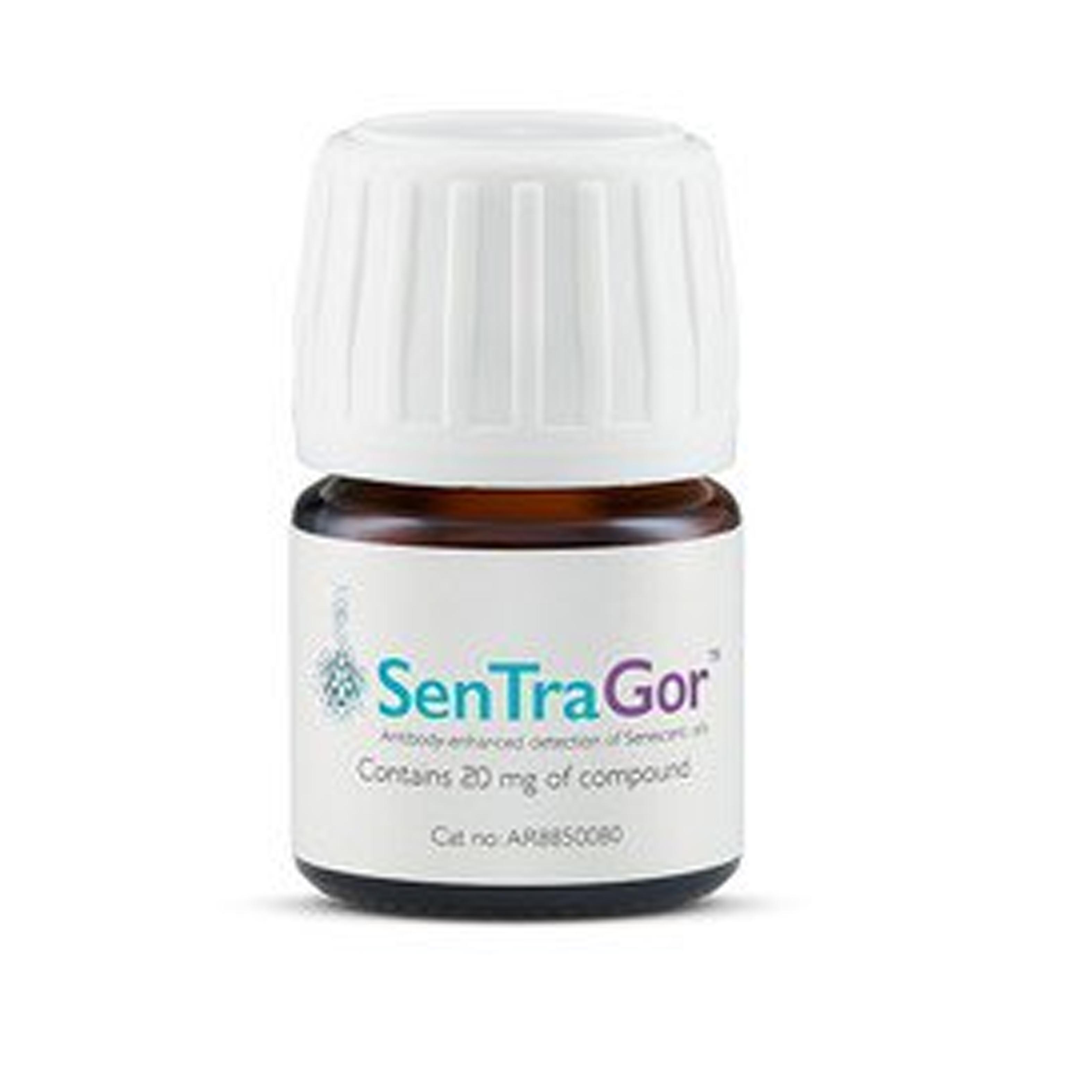 SenTraGor试剂-抗体增强对衰老细胞的检测