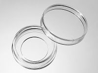 29mm高亲和玻底培养皿-塑料片底（厚度0.175±0.01mm），14mm孔
