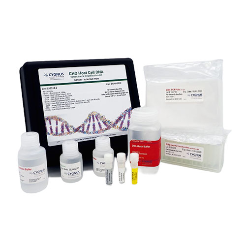 CHO 残留 DNA 深孔板扩增检测试剂盒 CHO DNA Amplification Kit in Wells