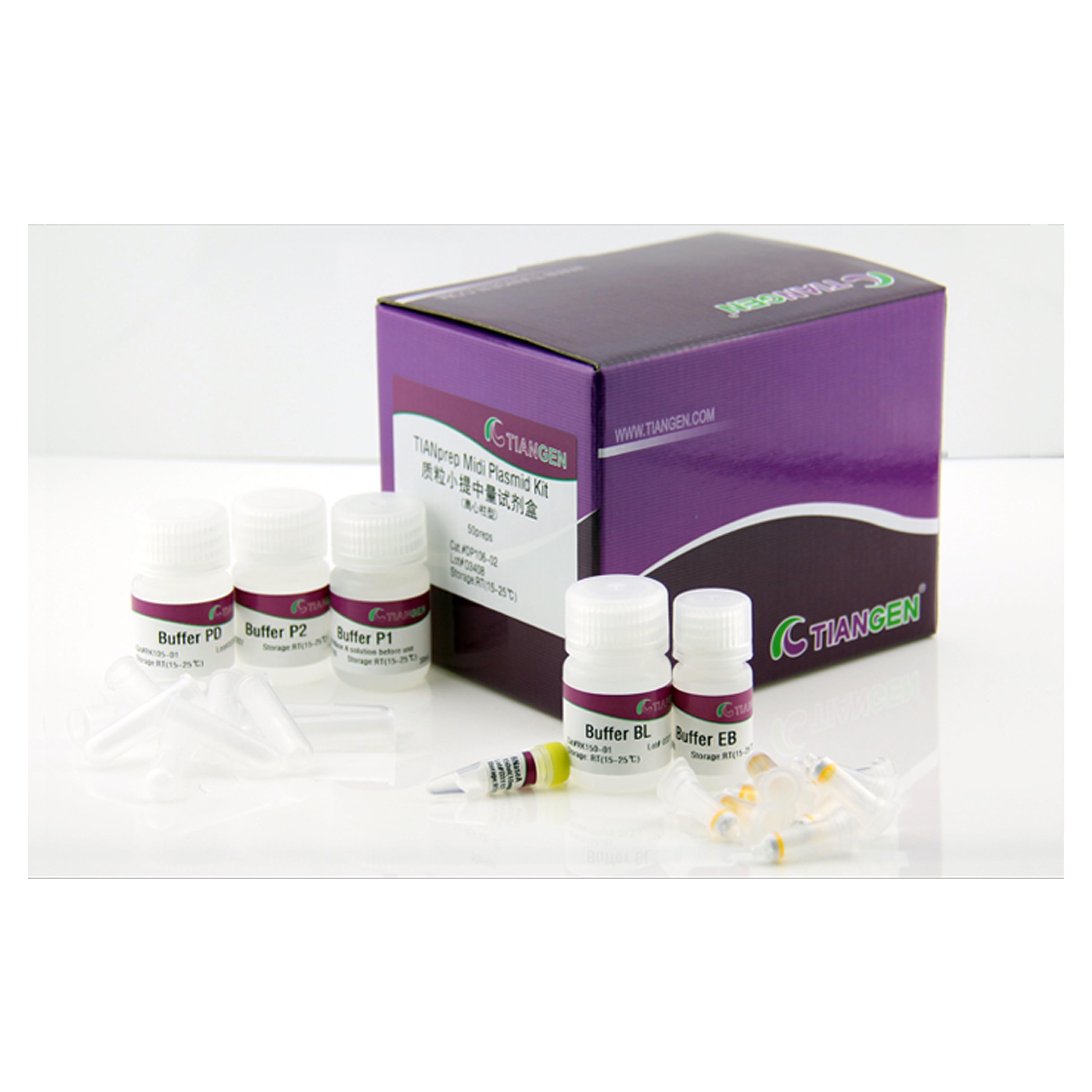 质粒小提中量试剂盒(DP106) TIANprep Midi Plasmid Kit